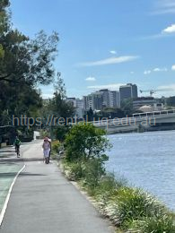 Brisbane's iconic riverwalk- the river loop