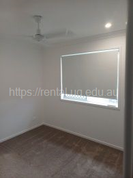 blank image